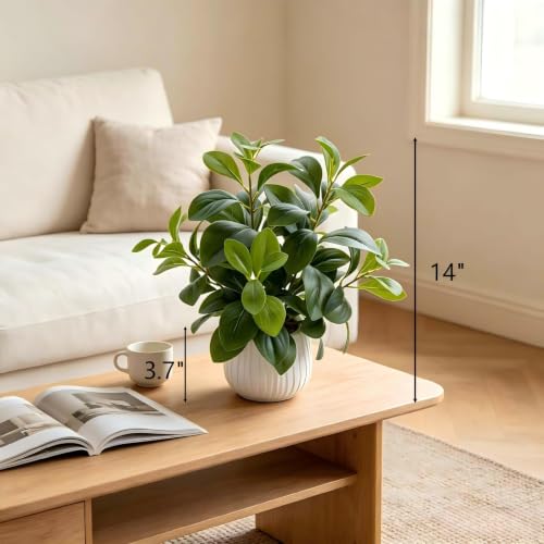 AlphaAcc Small Fake Plants Indoor for Office Bathroom Shelf Decor - color: White Pot With Fake Plant
