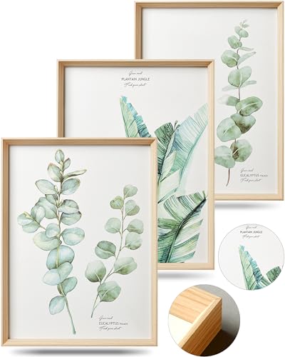 12x16IN Green Plant Eucalyptus Leaf Framed Wall Art, Set of 3 - color: Framed Green Leaf, size: 16"L x 12"W