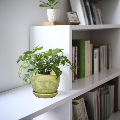 G EPGardening Ceramic Pots for Plants 5.5 Inch Round Ceramic Planter, Green - color: Palindrome Green