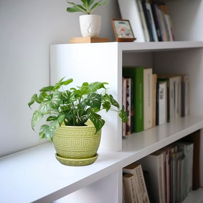 G EPGardening Ceramic Pots for Plants 5.5 Inch Round Ceramic Planter, Green - color: Palindrome Green