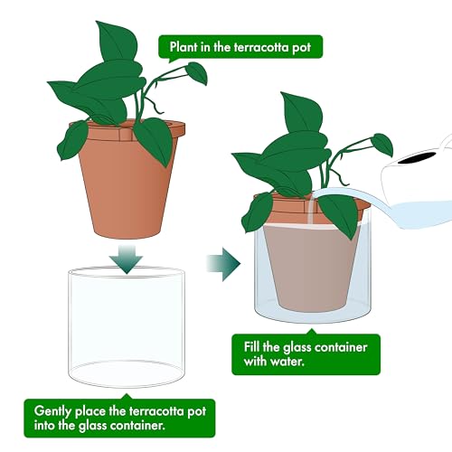 D'vine Dev Self Watering Terracotta Planter Pot, 8 in, 37-X-C-1 - color: Terracotta, size: 8 Inch
