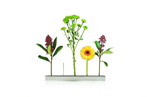 XXD Flower Boulevard Vase – an Vase – Impressed by Design