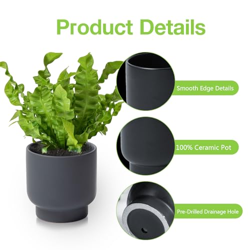 Grey Ceramic Plant Pots - Succulent Flower Small Planter, Pot for Indoor Outdoor Garden Plants with Drainage Holes - Plants Not Included 4.33 X4.33 Inch - color: Gray