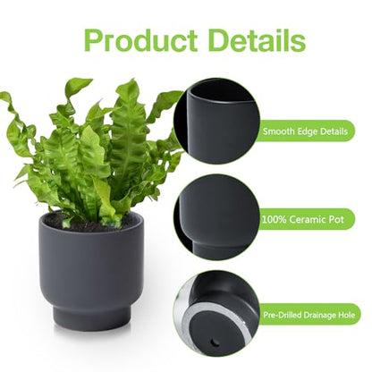 Grey Ceramic Plant Pots - Succulent Flower Small Planter, Pot for Indoor Outdoor Garden Plants with Drainage Holes - Plants Not Included 4.33 X4.33 Inch - color: Gray