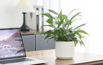 Ceramic Planter Pot with Drainage Hole, 5 Inch Dia, Indoor and Outdoor, Home Patio Garden, Plants&Flowers, Textured Round (White) - style: Textured Round-White