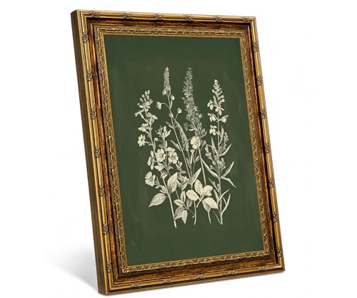 Vintage Gold Framed Botanical Wall Art Canvas Print, Dark Green Herb Floral Plant Illustration Painting, Cottagecore Plant Artwork Picture Wall Decor for Living Room Bedroom Office 8x10 Inches