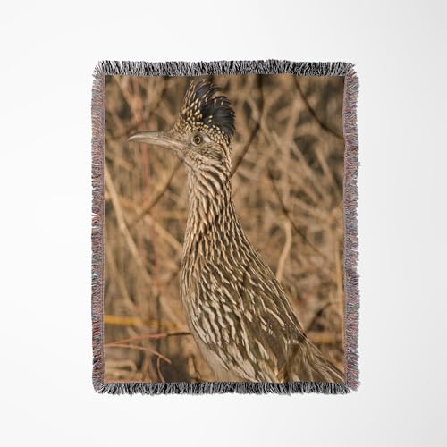 3dRose Greater Roadrunner Bird, Bosque del Apache, NM - US32 SKA0058 - Steve Kazlowski Woven Blanket