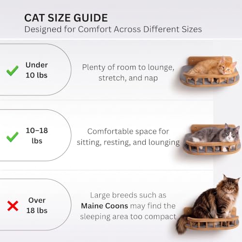 Cat Wall Shelves, Modern Cat Wall Furniture for Indoor Cats - color: Natural Wood, 3 Steps + Perch