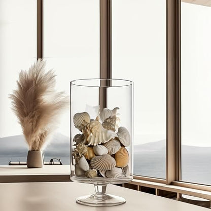WGVI Clear Glass Pedestal Hurricane Candle Holder, 7.75"W, 13.5"H, Decorative Vase for Pillar Candles, Short Stemmed Candleholder Cylinder, Tabletop Centerpieces, Home Décor, Elegant Design, 1 Piece - size: 13" H