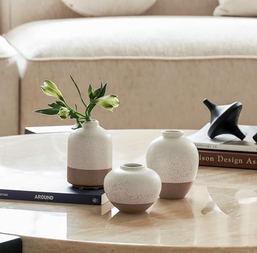DN DECONATION Flower Vase Set of 3, Small Ceramic Vase Farmhouse Home Decor - color: Beige&brown