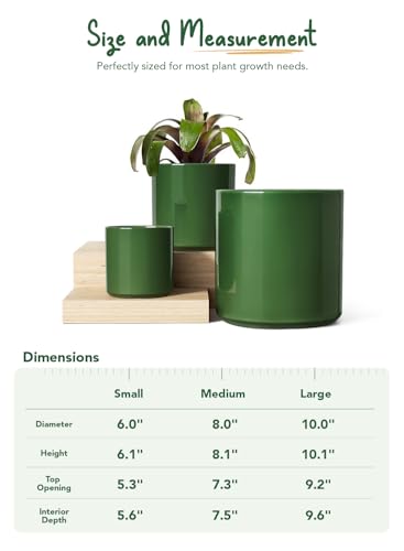 LE TAUCI 10+8+6 Inch Ceramic Pots for Plants, Indoor Planters with Drainage Hole and Plug, Modern Cylinder Flower Pots Set of 3 for Living Room and Kitchen, Glossy, Bamboo Green - color: Bamboo Green