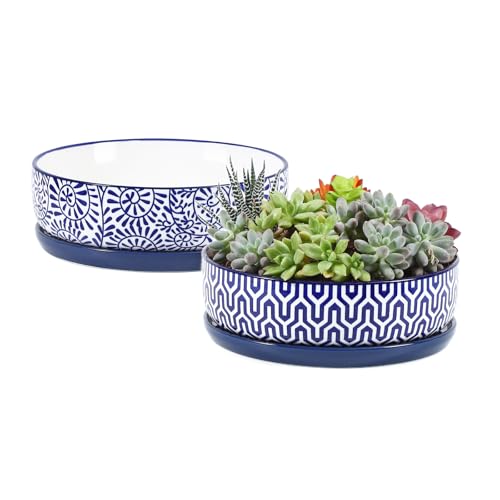 Selamica Ceramic Succulent Pots, Shallow Succulent Planters with Drainage Hole & Saucer, Indoor Plant Pots for Cactus, Home Decor，Vintage Blue, 8 inch，Set of 2 - color: Vintage Blue, size: 8 inch