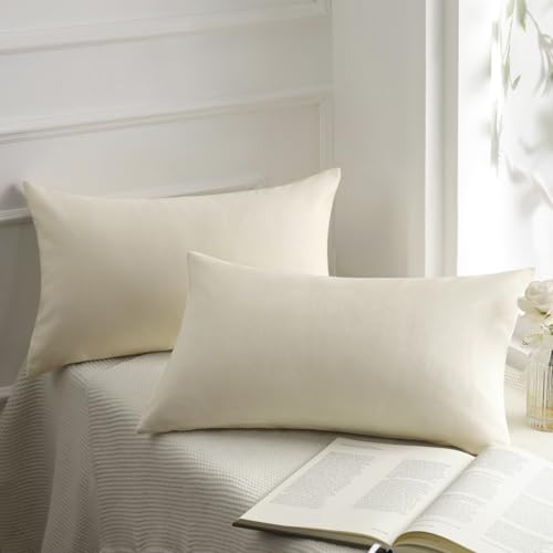 Phantoscope Pack of 2 Velvet Decorative Throw Decorative Pillow Cover Soft Solid Square Cushion Case for Couch Off White 12 x 20 inches 30 x 50 cm - color: Off White, size: 20" x 12" (Pack of 2)