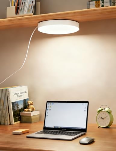 2-Pack 9.8 Inch Plug-in LED Ceiling Light with Switch,Built-in LED Source,White Wall Light Flush Mount Light Fixture for Balcony Bathroom,Closet,Storage Room,Garage,Hallway,Entryway - size: 9.8 feet of power cord