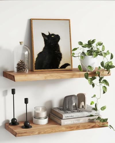 ARPEOTCY Vintage Framed Canvas Wall Art, 12x16inch, Farmhouse Black Cat Wall Decor, Animal Art Prints Home Decorations, Cottagecore Paintings for Living Room Bedroom Office Decor - color: Head up Cat, size: 16"L x 12"W