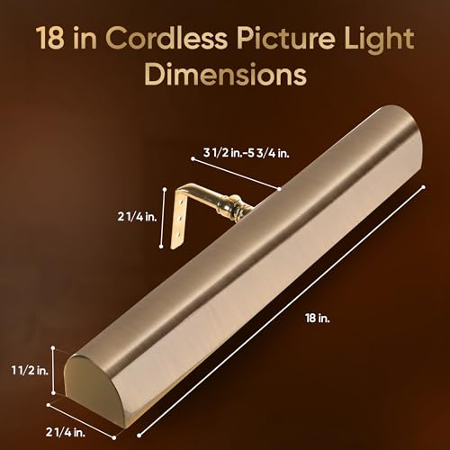 Concepdesigns Picture Light Battery Operated Picture Light, Dimmable Wireless Picture Lights for wall, Art Light, Library Light Battery Operated with Remote Control - 18 inches, Antique Brushed Bronze - color: Antique Brushed Bronze, size: 18 inch