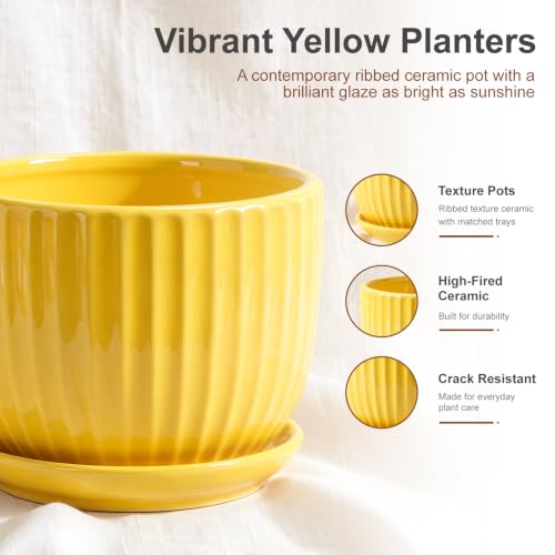 Ceramic Planters,Yellow Plant Pots with Drainage Holes and Saucers Set of 3 - color: Yelllow