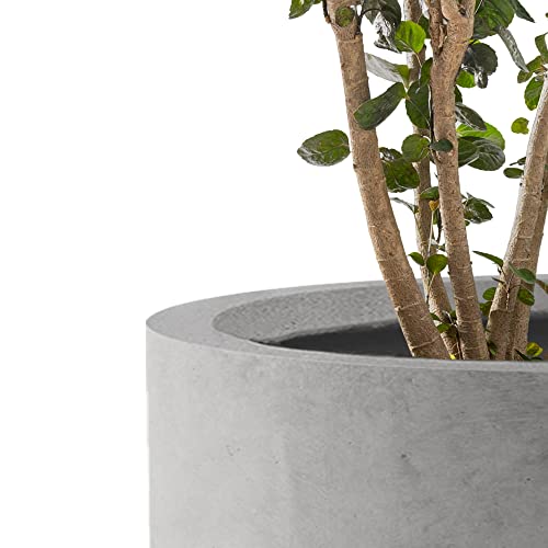 Kante Accent Round Cylinder Pale Gray Concrete Planter 12.6" Tall, Outdoor - color: Natural Concrete, size: 12.6" Dia