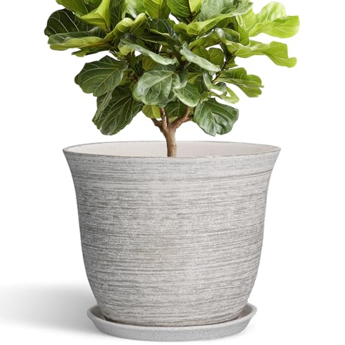 Ceramic Planter, 12 Inch Plant Pot with Drainage and Saucer, Grey - color: Grey-white, size: 12 Inch