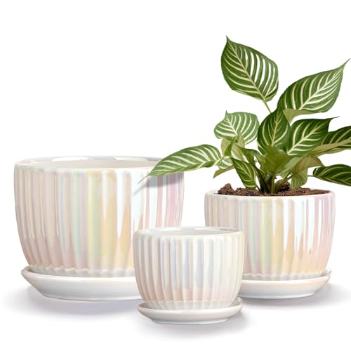 Plant Pots,Ceramic Flower Pots with Drainage Holes & Saucer Set of 3（Pearl） - color: Pearl White