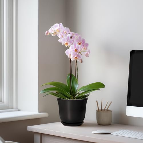 Ceramic Planter, 5.6 Inch Plant Pot, Black - color: Black, size: 6 Inch