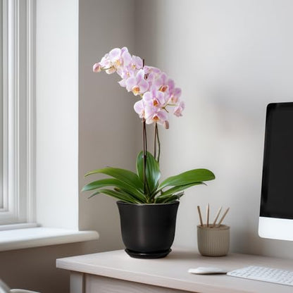 Ceramic Planter, 5.6 Inch Plant Pot, Black - color: Black, size: 6 Inch