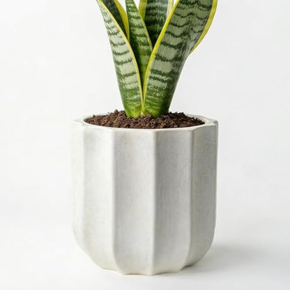10 Inch Ceramic Plant Pot for Indoor Plants with Drainage Hole - color: White 10"