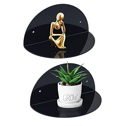 ROYALITA 2-Pack Small Acrylic Shelves Room Decor Floating Shelves, Black - color: Black