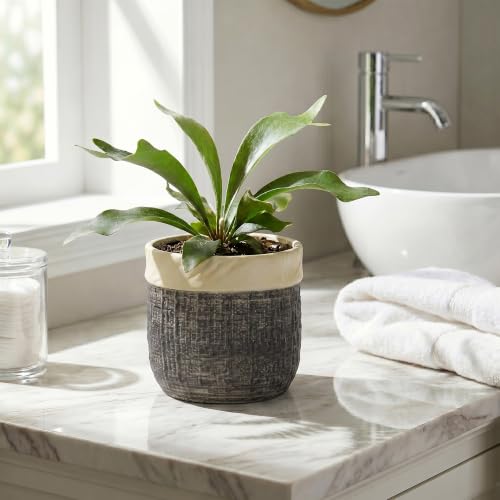 6 Inch Plant Pot, Ceramic Plant Pots, Round Planter, Light Black - color: Light Black, size: 6 Inch