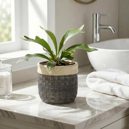 6 Inch Plant Pot, Ceramic Plant Pots, Round Planter, Light Black - color: Light Black, size: 6 Inch