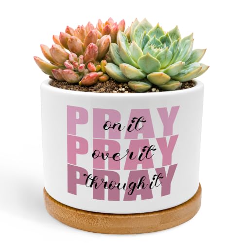 Pink Christian Plant Pots, Pray on It Pray Over It Bible Scripture Ceramic Succulent Flower Planters(No Plants) - color: Psalms a