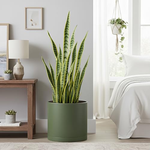 D'vine Dev Plastic Planter Pot with Saucer, 12 in, Olive, 74-X-I-3 - color: Olive, size: 12"