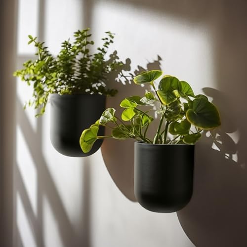 LA JOLIE MUSE Wall Planters for Indoor Plants, Hanging Flower Pots, 2 Pack - color: Black