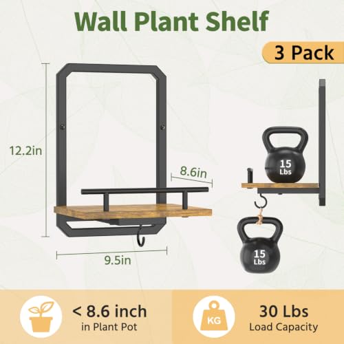 LASZOLA Plant Picture Frame Holder Shelf Wall Window Indoor, 3 Pcs Brown - color: Brushed Black+Brown, size: 3