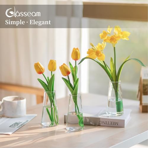Glasseam Small Glass Vases for Flowers, 12 Pcs Clear Bulk Centerpiece Vases - size: Clear-12pcs