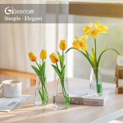 Glasseam Small Glass Vases for Flowers, 12 Pcs Clear Bulk Centerpiece Vases - size: Clear-12pcs
