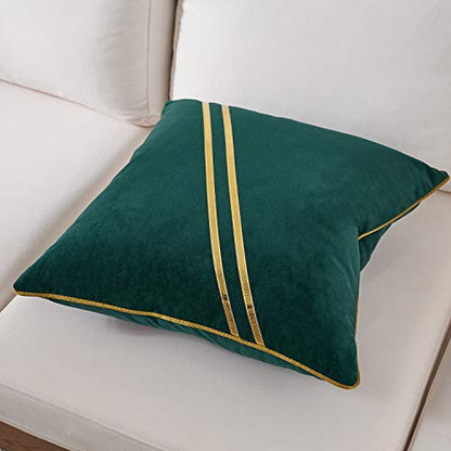 Avigers Throw Pillow Cover 20 x 20 Inch, Green, Velvet, Hidden Zipper - color: Green, size: 20" x 20" (Pack of 1)
