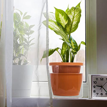 D'vine Dev Self Watering Terracotta Planter Pot, 6 in, 37-X-B-1 - color: Terracotta, size: 6 Inch