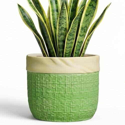 8 Inch Plant Pot, Ceramic Pots for Plants, Round Flower Pots, Green - color: Green, size: 8 Inch