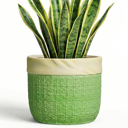 8 Inch Plant Pot, Ceramic Pots for Plants, Round Flower Pots, Green - color: Green, size: 8 Inch