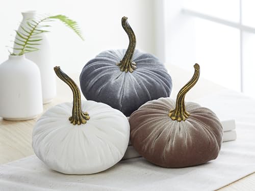 Your Heart's Content Set of 3 Small Velvet Pumpkins (Sm Gray Taupe Ivory) - color: Sm Gray Taupe Ivory