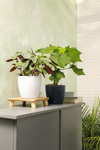 Lechuza 13210 Classico 35 Self-Watering Planter for Indoor and Outdoor Use, 14" x 14" x 13", White Matte - color: White Matte, style: 35