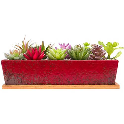 Succulent Pots - 12.1 Inch Large Succulent Planters with Drainage Tray - color: Red