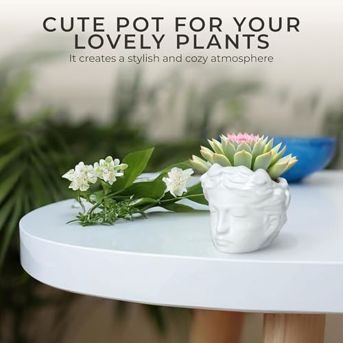 Small Head Planter - Ceramic Face Planter Pots for Indoor Plants, Cute Funny Succulent Pot with Drainage Hole, Unique Gift, 3.9" - color: White