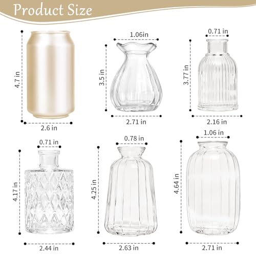 KJHL 5 Pcs Small Glass Bud Vases, Mini Flower Vases for Wedding Centerpiece - size: 5 Pcs
