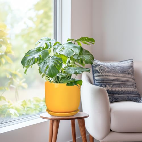 Ceramic Plant Pot 8 Inch, Indoor Planter, Yellow - color: Gloss Yellow, size: 8 Inch