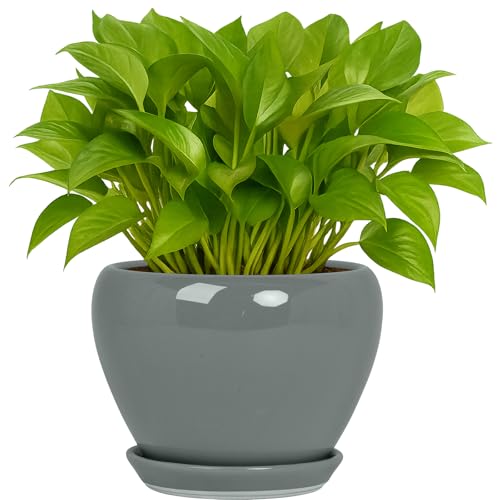 Deep Dream 6 Inch Plant Pots- Ceramic Planter Pot with Drainage Hole and Saucer, Round Flower Pot for Indoor Outdoor Succulent, Snake Plants and Cactus, Grey - color: Gray, size: 6 Inch