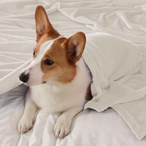 Elegant Throw Blanket for Couch & Sofa, All-Season Lightweight Fleece Blanket, Luxury Soft Cozy Fuzzy Throw for Her Him, White, 50 x 56 Inches