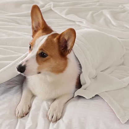 Elegant Throw Blanket for Couch & Sofa, All-Season Lightweight Fleece Blanket, Luxury Soft Cozy Fuzzy Throw for Her Him, White, 50 x 56 Inches