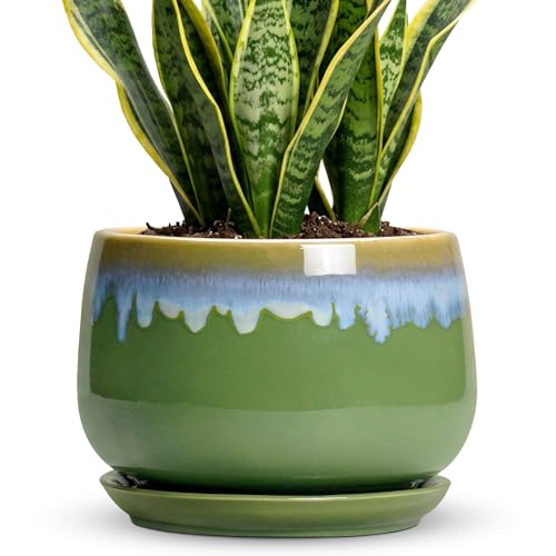 9 Inch Indoor Plant Pots - Ceramic Planters for Indoor Plants, Decorative Planter with Drainage and Saucer, Round Flower Pot, Porch Garden Office Decor, Gardening Gifts for Women, Green-Blue - size: 9 Inch, style: Green-blue